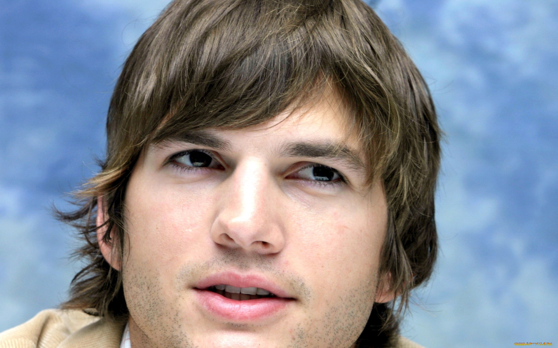 , ashton kutcher, , 